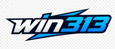 logo win313